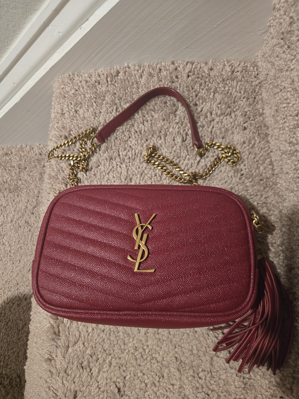 Ysl Saintt Laurent LOU Mini Camera Bag NWOT